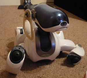 Aibo Entertainment Player